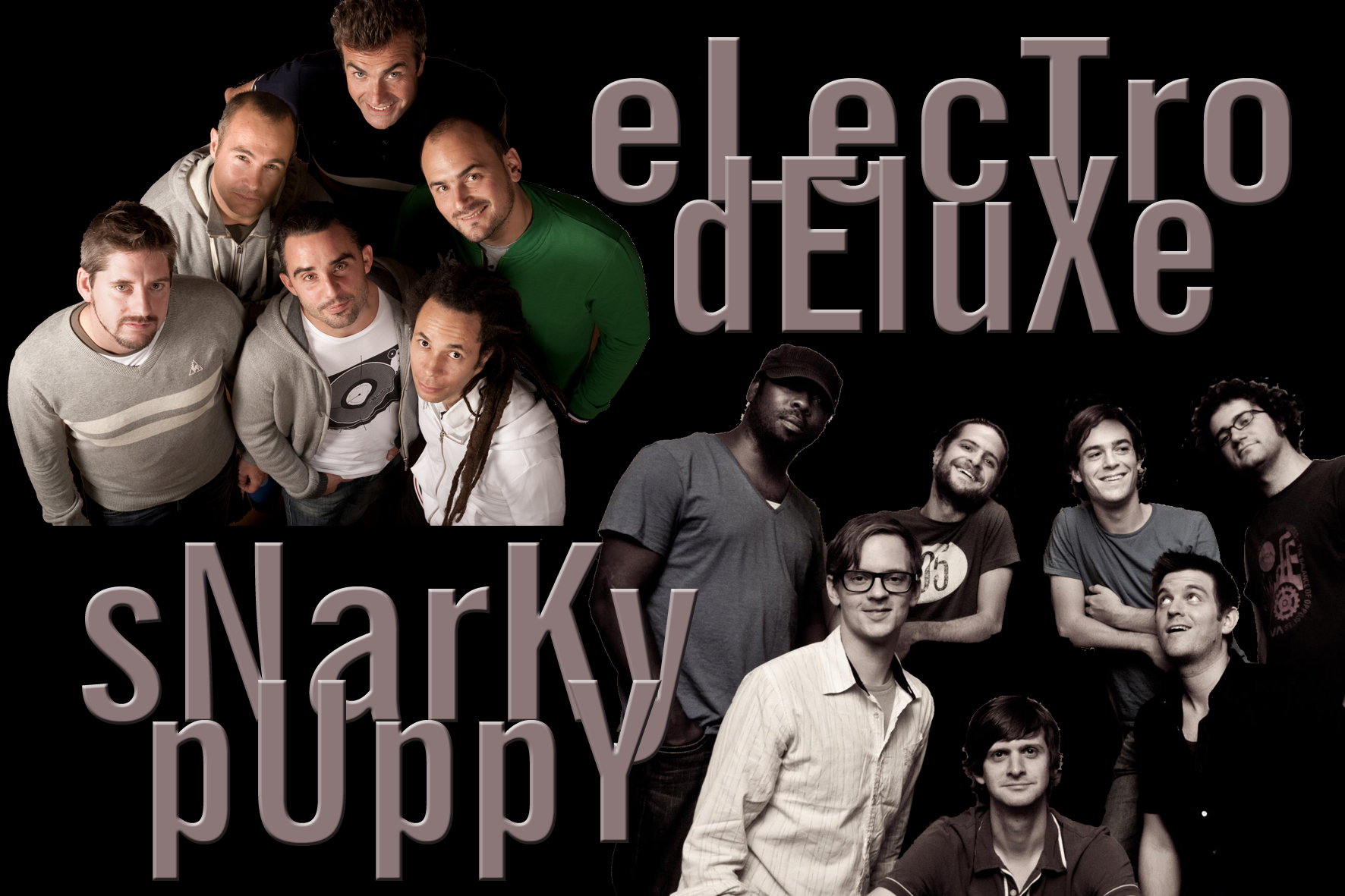 Electro Deluxe & Snarky Puppy